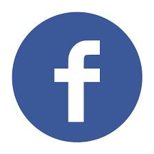Logo skischule 100